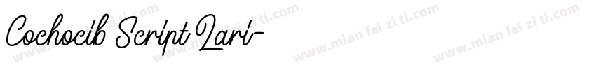 Cochocib Script Lari字体转换
